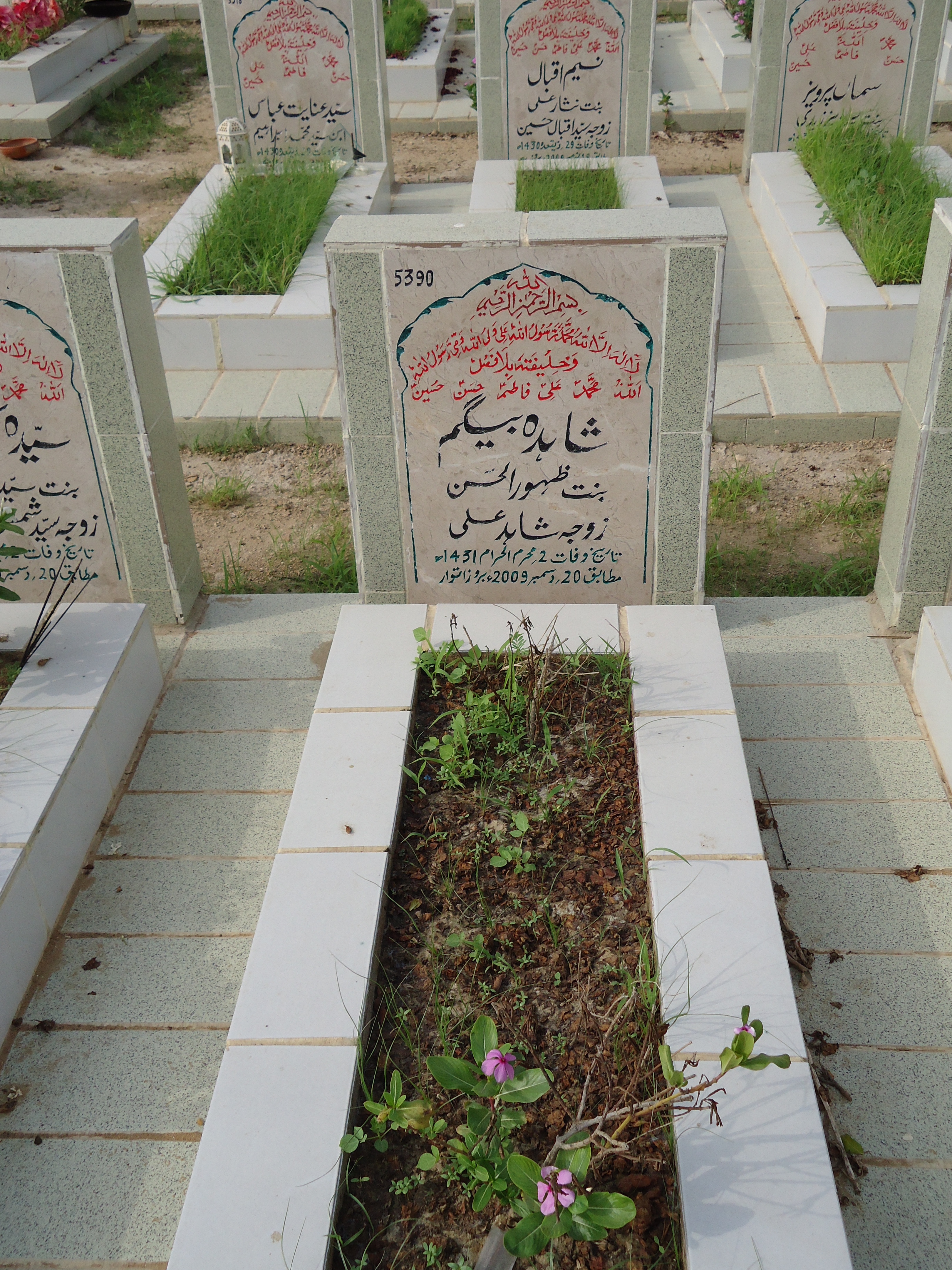 5390 – Shahida Begum